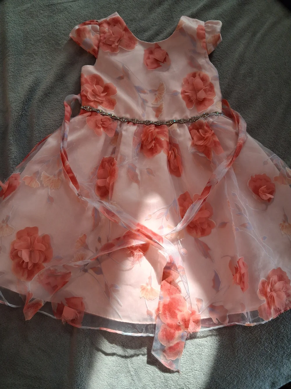 Rare Editions Coral Floral Organza Party Dress with Beaded Waist
